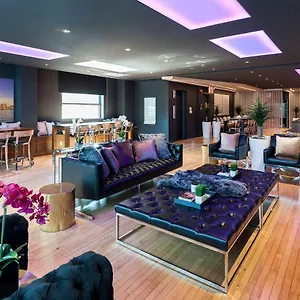 The Holland By Simplissimmo , Montreal Canada